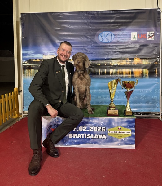 vystava-psov-stavac-slovensko2